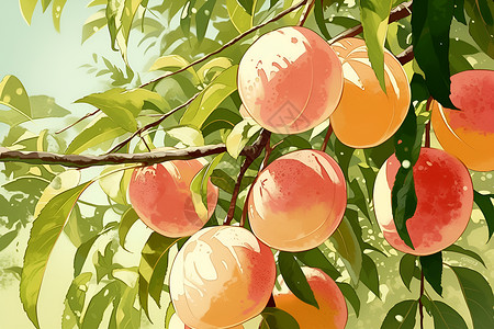 水果桃树鲜美的桃子插画