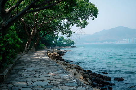 海边的石头栈道图片