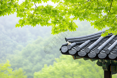 自然风景下的古建筑图片